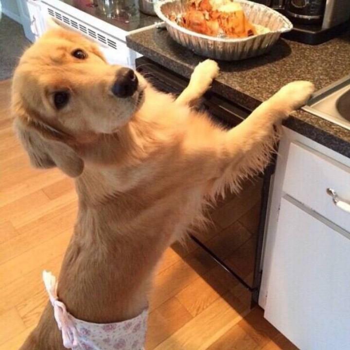 翠花的故事cuihuadegush